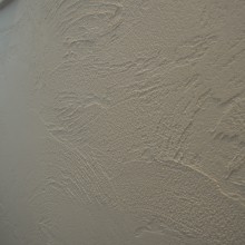 DSCN8081